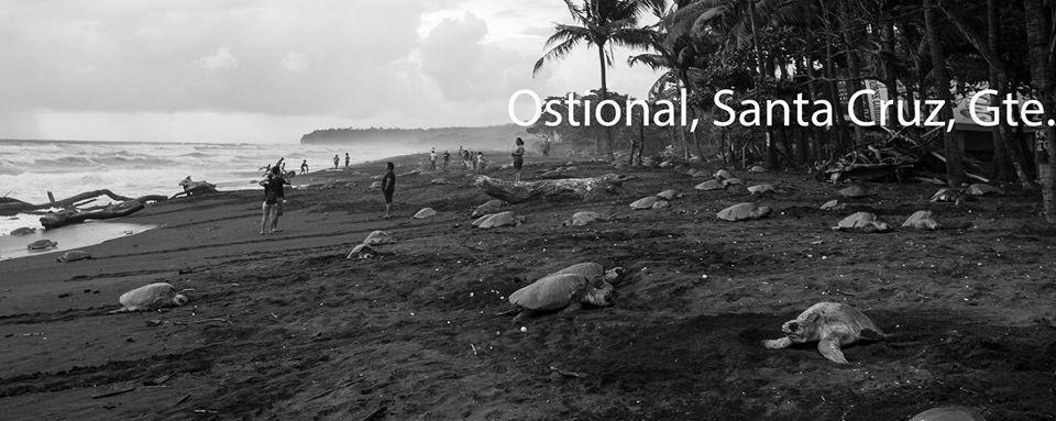 Cabinas Surf Arribadas Ostional Wildlife Refuge Esterno foto